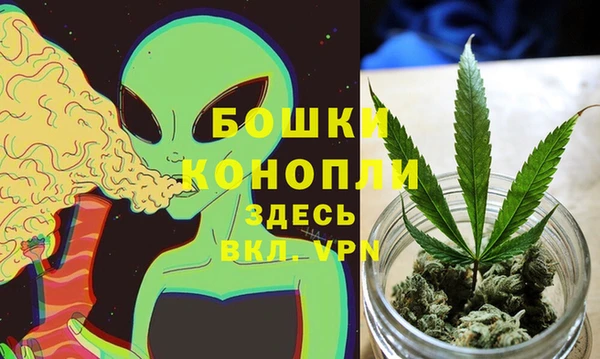 прущие крисы Аркадак