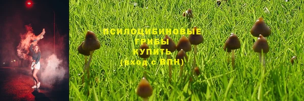 бошки Армянск