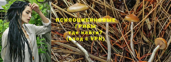 экстази Нягань
